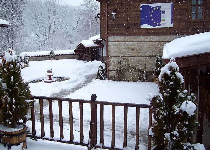 Voevodski Eco Complex 3*